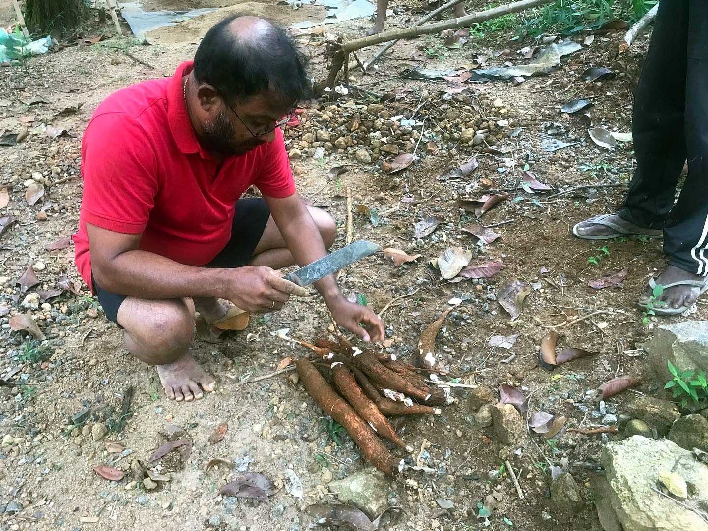 A farmer crouching beside freshly lifted root crops