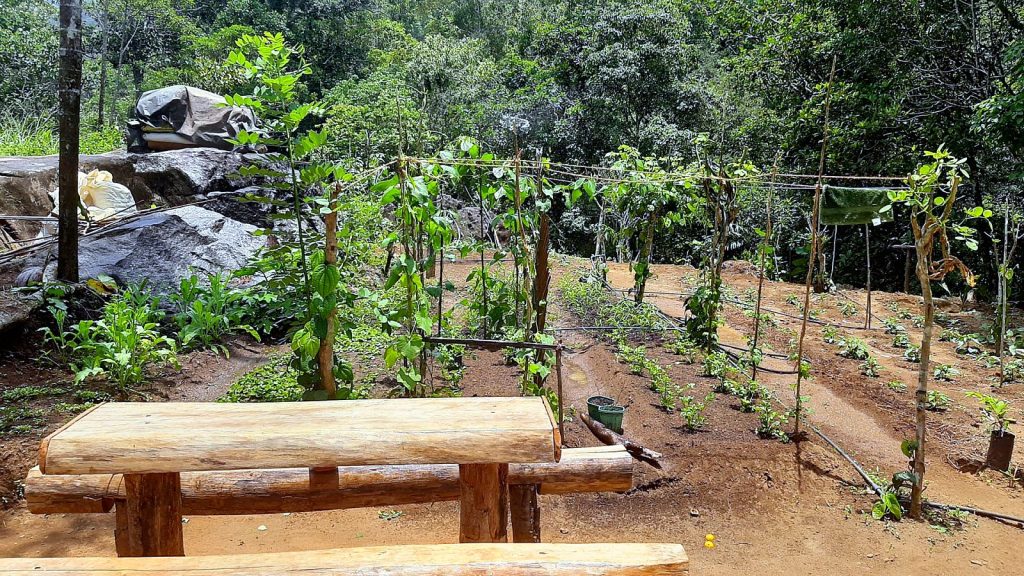 A timber bench and table set under trees at the camp