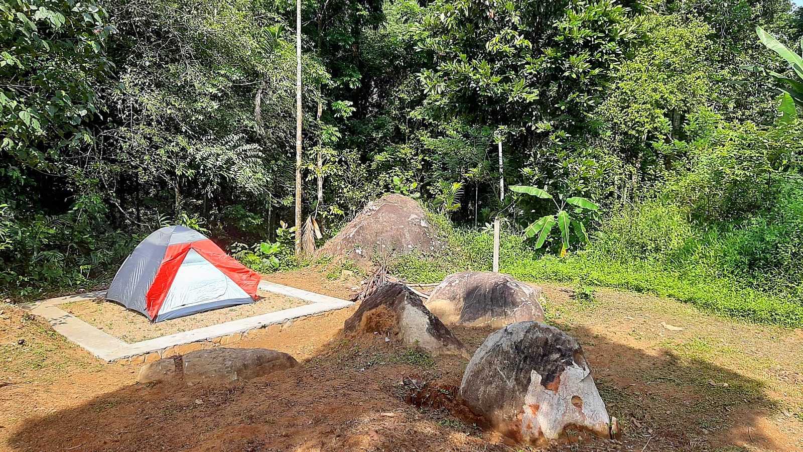 A dome tent pitched on rock beside the stream at The Tree Fern